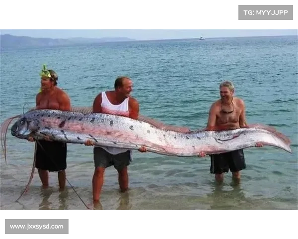 深海传说中的人鱼之心五大秘事揭晓探索海底神秘力量的源泉