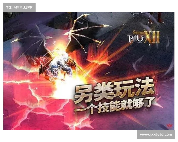 冰洁师技能深度解析 揭开职业成长的新篇章与无限可能