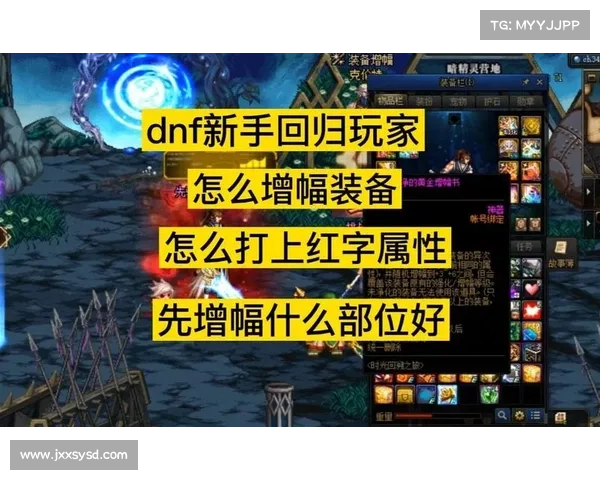 红字装备净化有哪些有效途径与技巧玩家必看实用方法解析