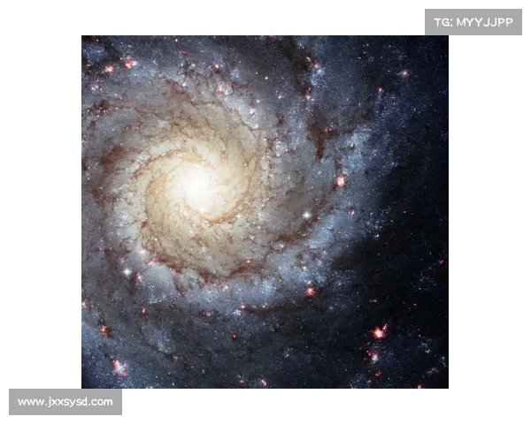 银河之争中的宇宙命运变迁与各方势力博弈的终极结果分析 银河之争中的宇宙命运变迁与各方势力博弈的终极结果分析