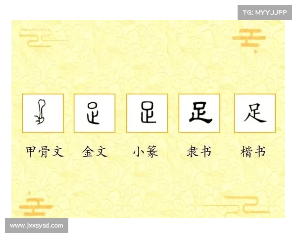 揭开足总命名背后的五大历史原因与文化内涵解析 揭开足总命名背后的五大历史原因与文化内涵解析