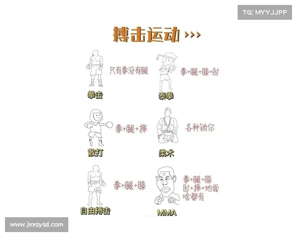 拳击比赛六大类型解析及精彩程度评估助你了解拳击魅力 拳击比赛六大类型解析及精彩程度评估助你了解拳击魅力