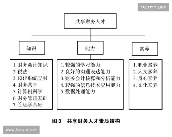 提升足球俱乐部财务稳健性策略探析与实践路径研究